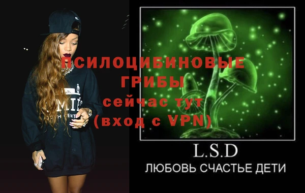 ГАЛЛЮЦИНОГЕННЫЕ ГРИБЫ Киреевск
