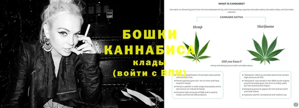 ГАЛЛЮЦИНОГЕННЫЕ ГРИБЫ Киреевск