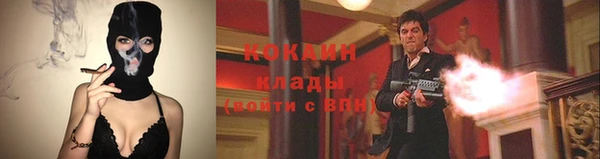 ГАЛЛЮЦИНОГЕННЫЕ ГРИБЫ Киреевск