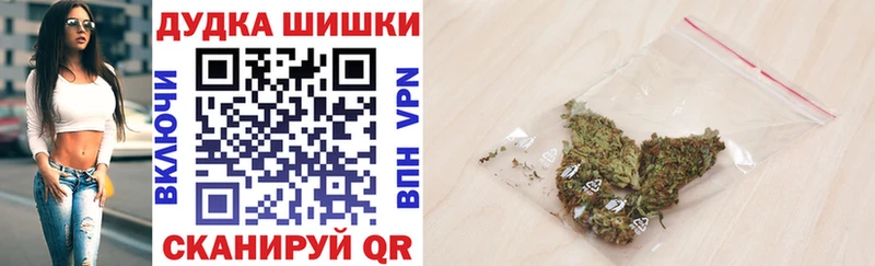 Канабис планчик Купить Грайворон